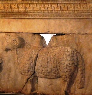 Sacrificial sheep, frieze in Curia, Roman Forum