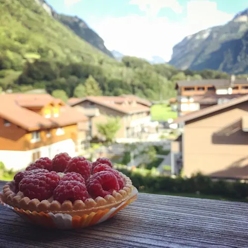 Swiss-Alps-_dwvelarde