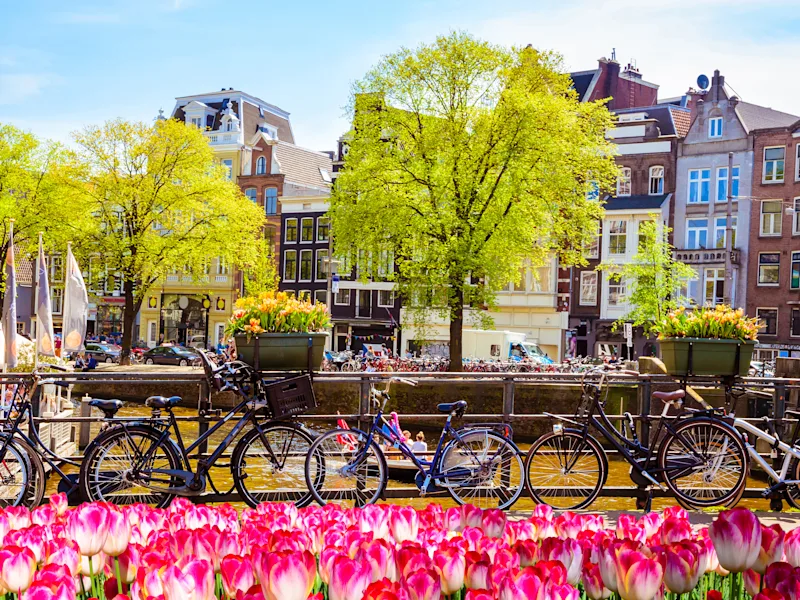amsterdam-netherlands-canal-with-tulips