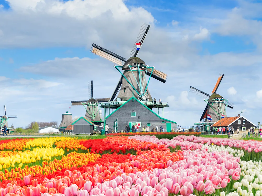 Amsterdam-Netherlands-Windmills