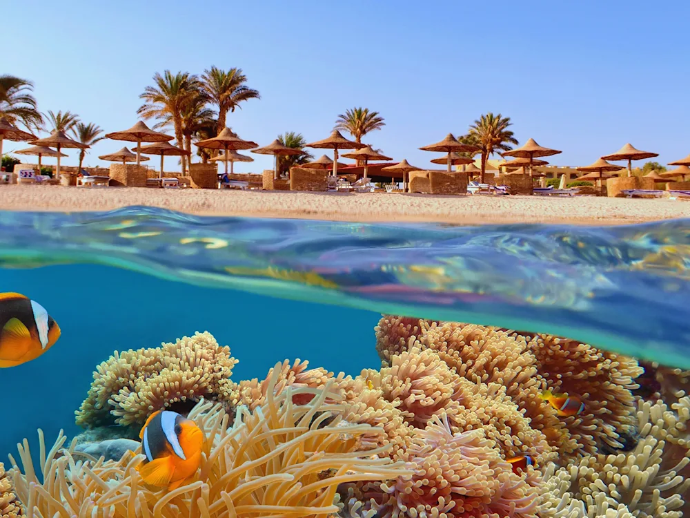 coral-reef-beach-red-sea-egypt-swiper-hero-gallery