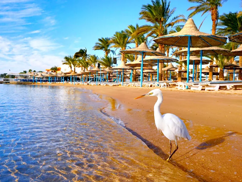 day7-egypt-hurghada-red-sea-view