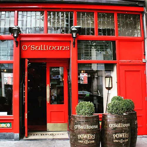 Dublin-pub-IRE-_scouserontour