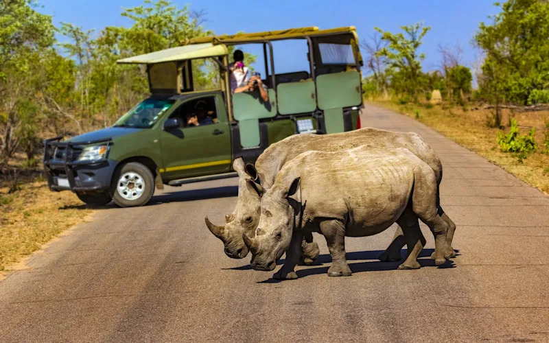 Full-Day-Game-Drive-optional-excursion
