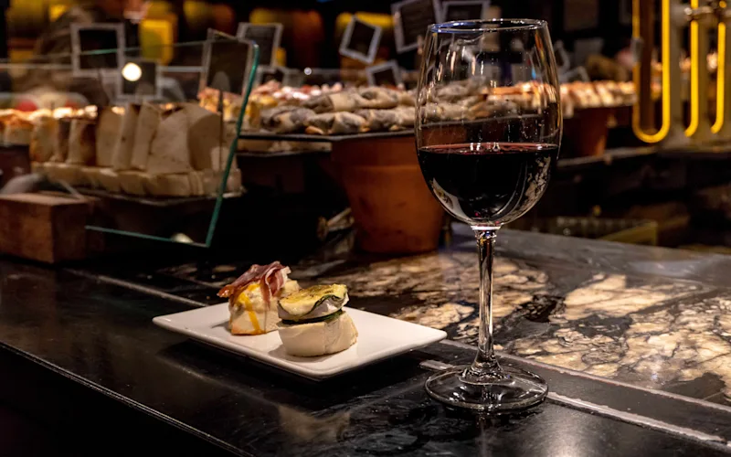 granada-local-food-wine-evening-optional-excursion