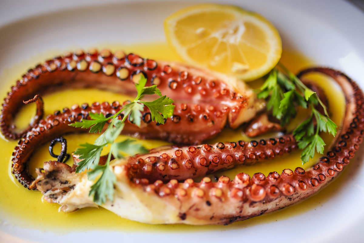 Grilled octopus, Greek food