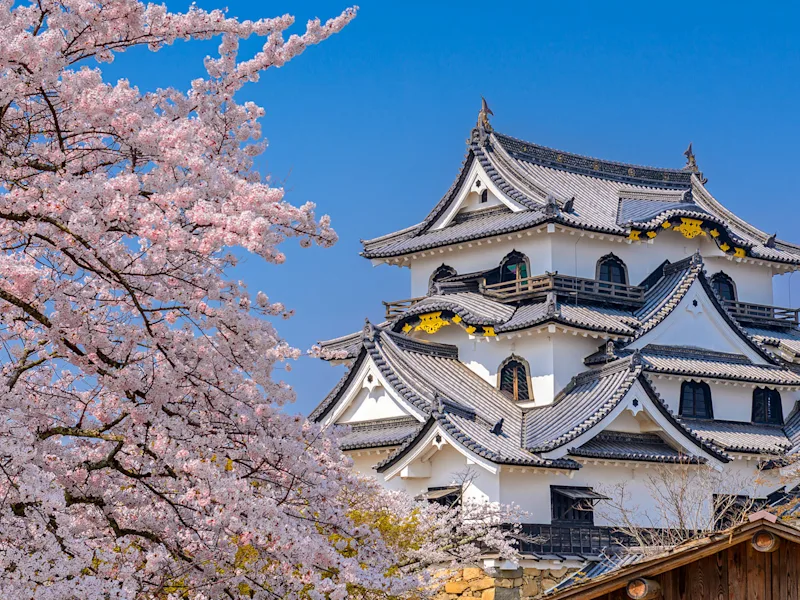 hikone-castle-japan-guided-tour-expat-explore