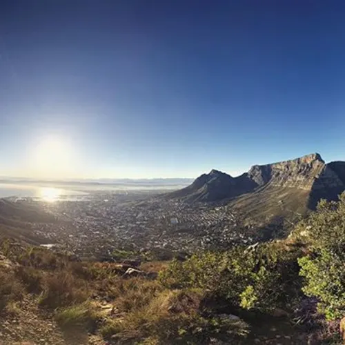 cape-town-south-africa-Instagram-_angusfulle.r