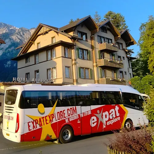 alpenrose-swiss-alps-switzerland-Instagram-_timthetourmansayer