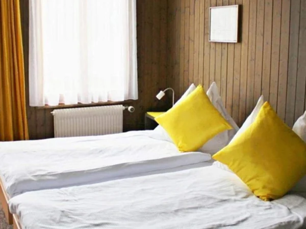 Jungfrau-Region-hotel-alpina-kandersteg-twin-room