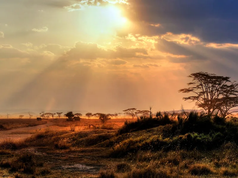 kruger-national-park-region-nature-sunset-south-africa