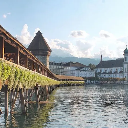 Lucerne-_abitofbeesknees