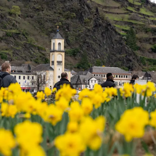 rhine-valley-germany-flowers-instagram-_geonburden