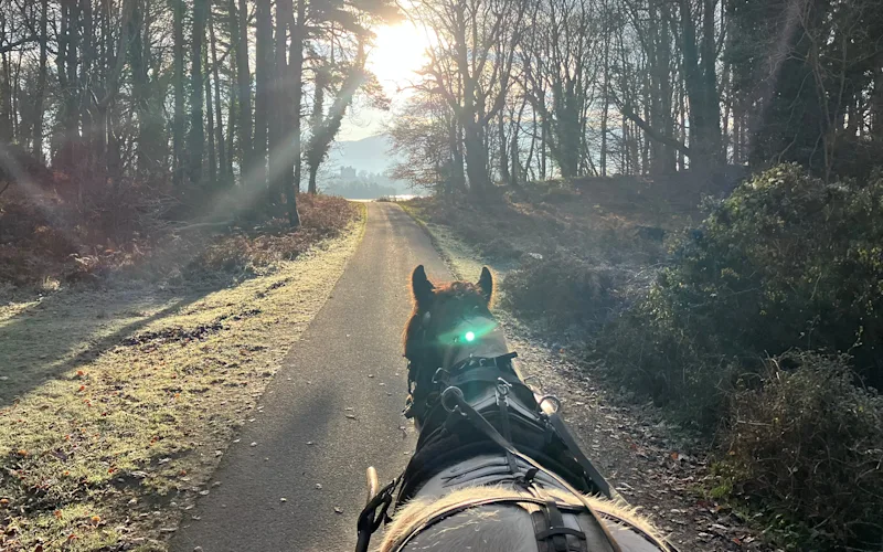 Ring of Kerry Winter Day Trip