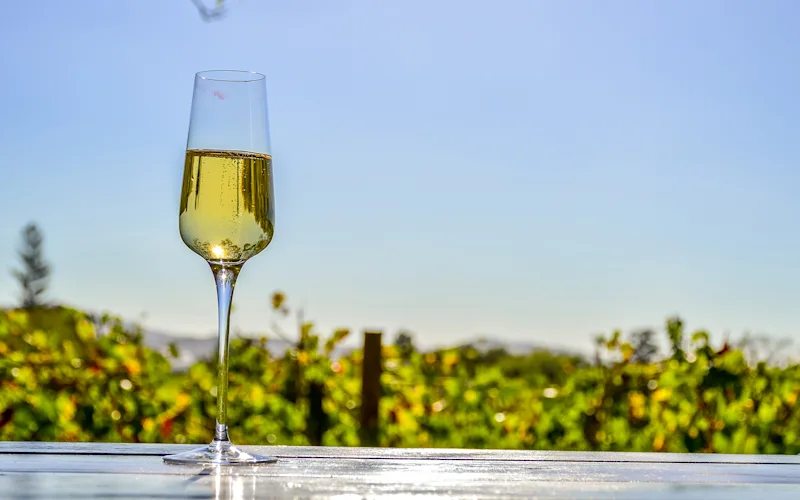 Taste local wine in the Cape Winelands