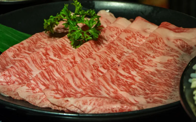 wagyu-beef-feast-in-osaka-optional-excursion