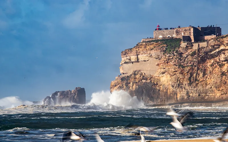Watch the waves in Nazaré